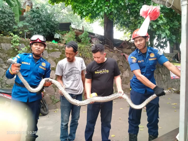 berita depok hari ini