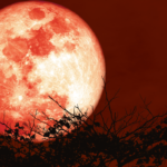 vBCEHQubAAM9X3G3gUt9Qr5zv9S4ZyguR2UaYW26