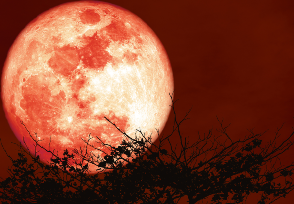 vBCEHQubAAM9X3G3gUt9Qr5zv9S4ZyguR2UaYW26