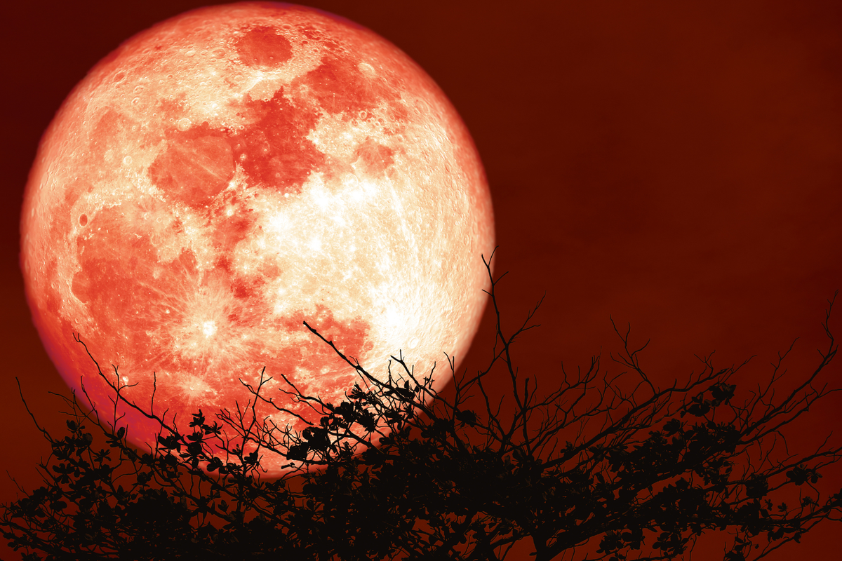 vBCEHQubAAM9X3G3gUt9Qr5zv9S4ZyguR2UaYW26